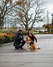 Cover Photo of CSWP - A Constable and his police dog visiting with a boy