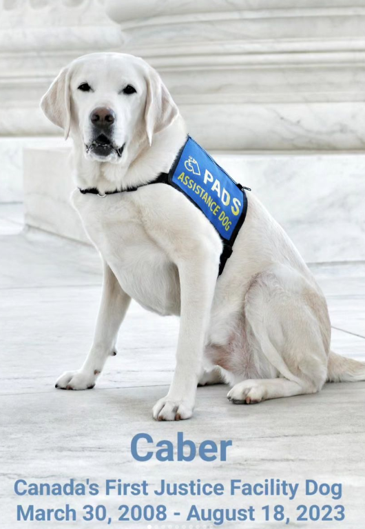 Caber - Canada's First Justice Facility Dog