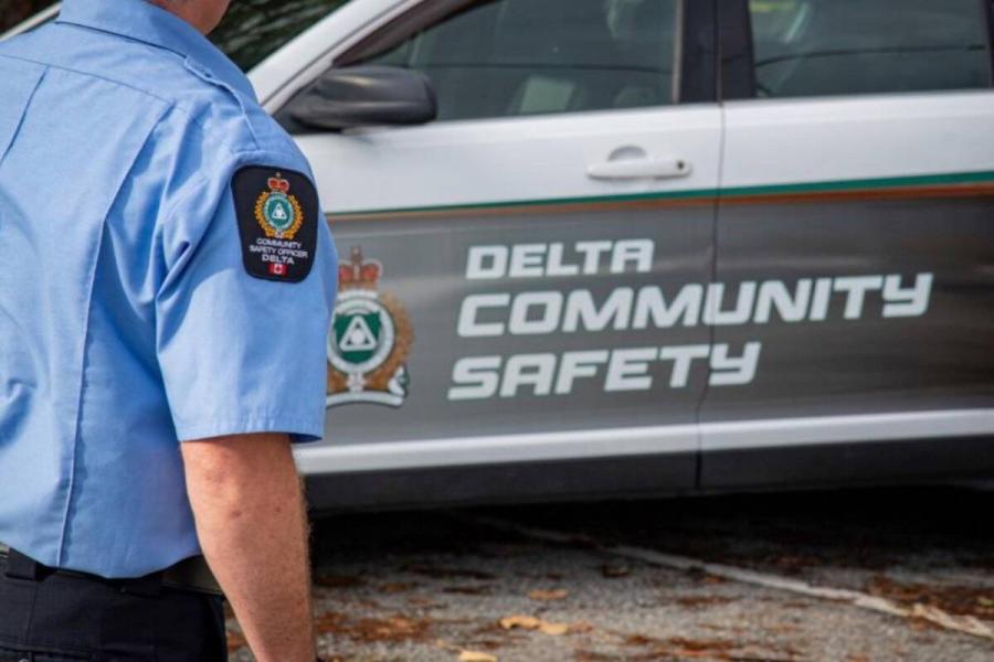 CSO DPD 2025 1