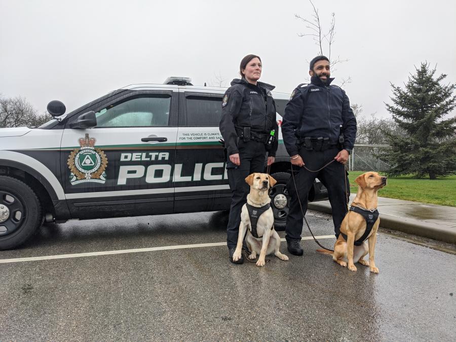 New dog unit focused on keeping Delta roads safe (video) TSDU-members-and-dogs-scaled.jpg