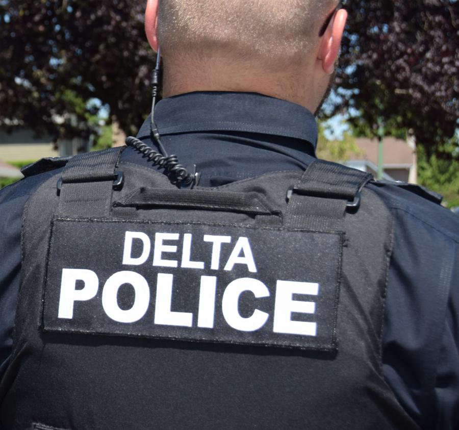 Former Delta man convicted of child porn possession members-back-scaled.jpg